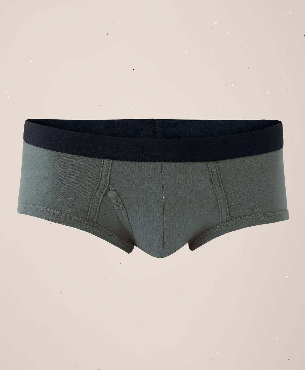 Organic Everyday Brief